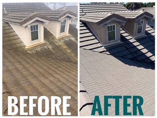Soft-wash roof cleaning